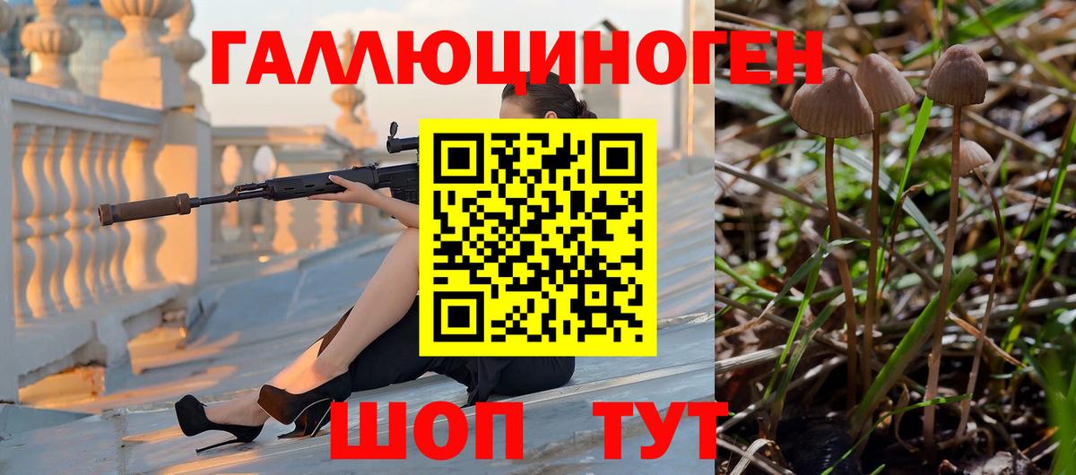Дивногорск  Псилоцибиновые грибы GOLDEN TEACHER  Галлюциногенные грибы мицелий  Вход с VPN 